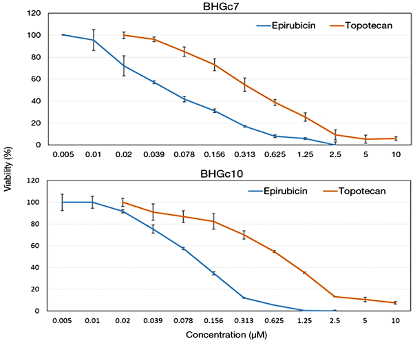 Цитотаксическая активность эпирубицина и топотекана относительно клеточных линий с ЦОК (BHGc7 и BHGc10)